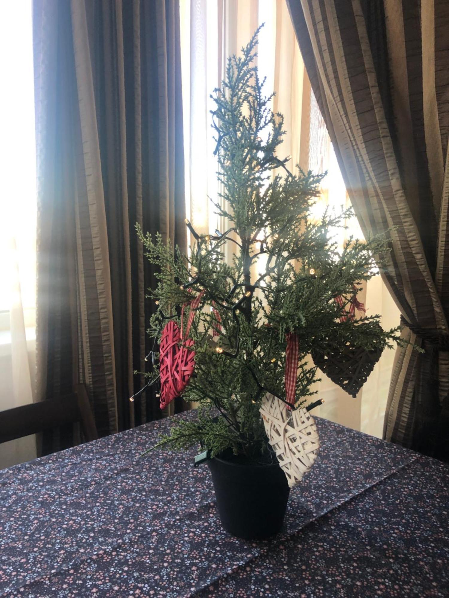 Family Retreat Politehnica Park Apartment Bucharest Luaran gambar